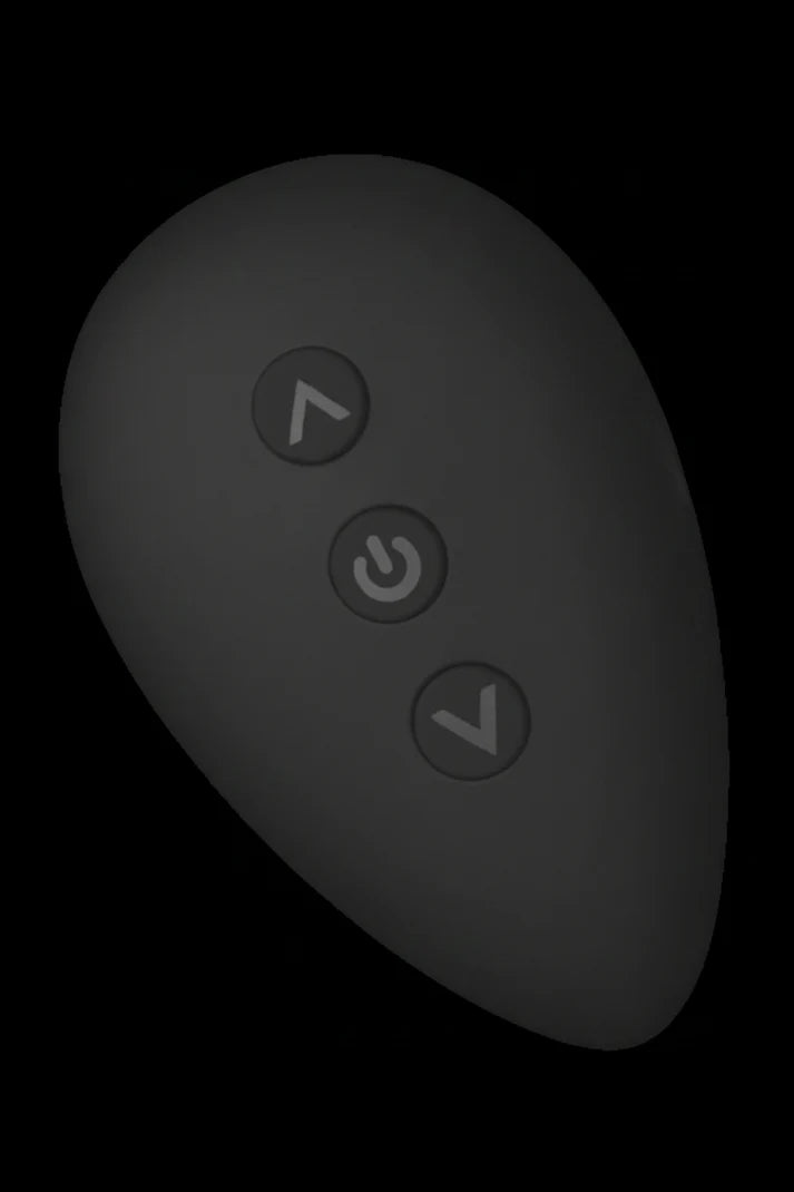Ashella Vibes Magnetic Remote Control Panty Vibe
