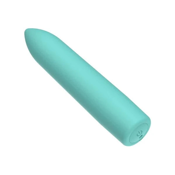 Mini Baby Bullet