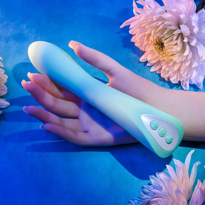 Come with Me Silicone Rechargeable Vibrator