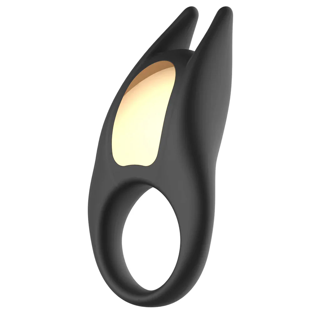 Lucas Vibrating Cock Ring (Copy)