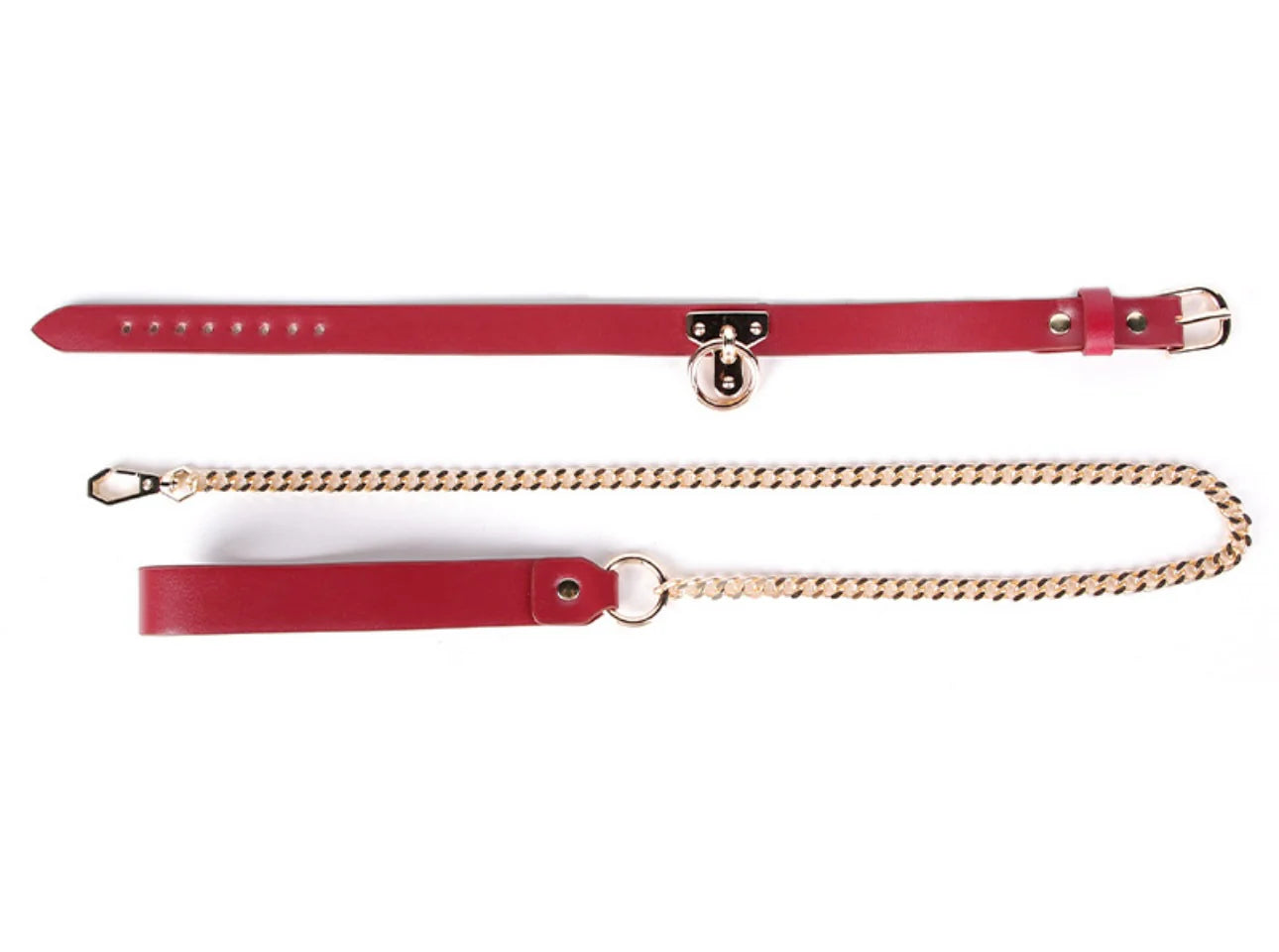 Red & Gold Collar and Lead