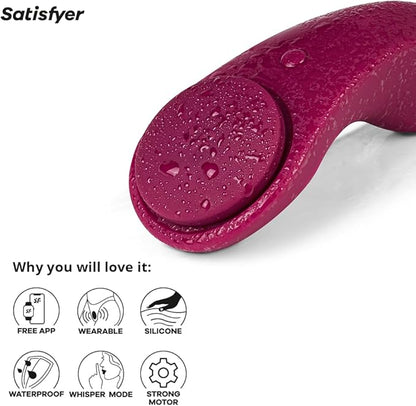 Sexy Secret Panty Vibrator