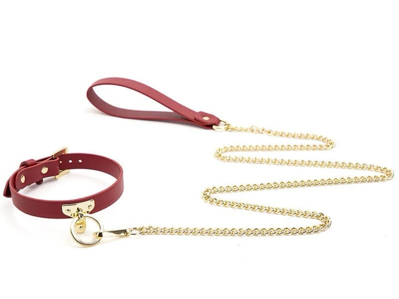 Red & Gold Collar and Lead