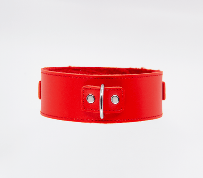 Fur-Lined Collar & Lead - Red