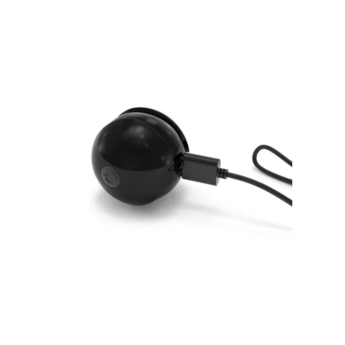 Training Balls