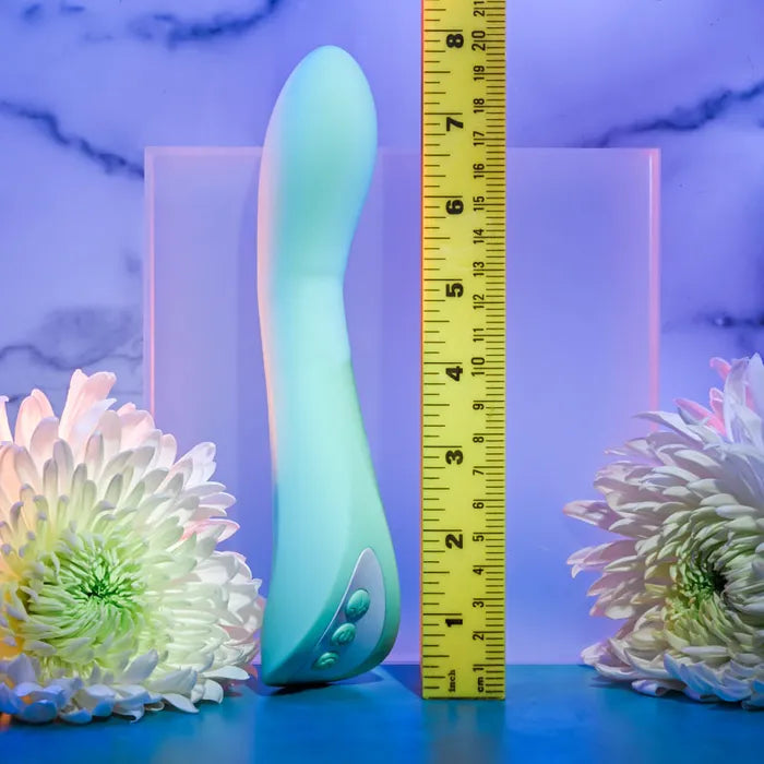 Come with Me Silicone Rechargeable Vibrator
