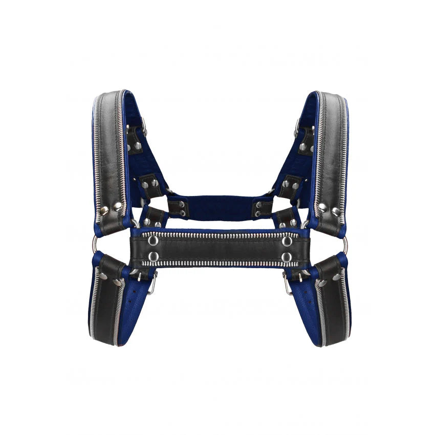 Blue & Black Leather Harness